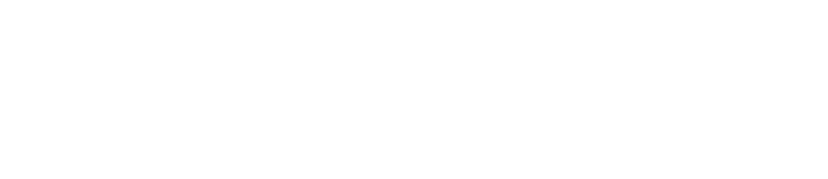 Global Guardian